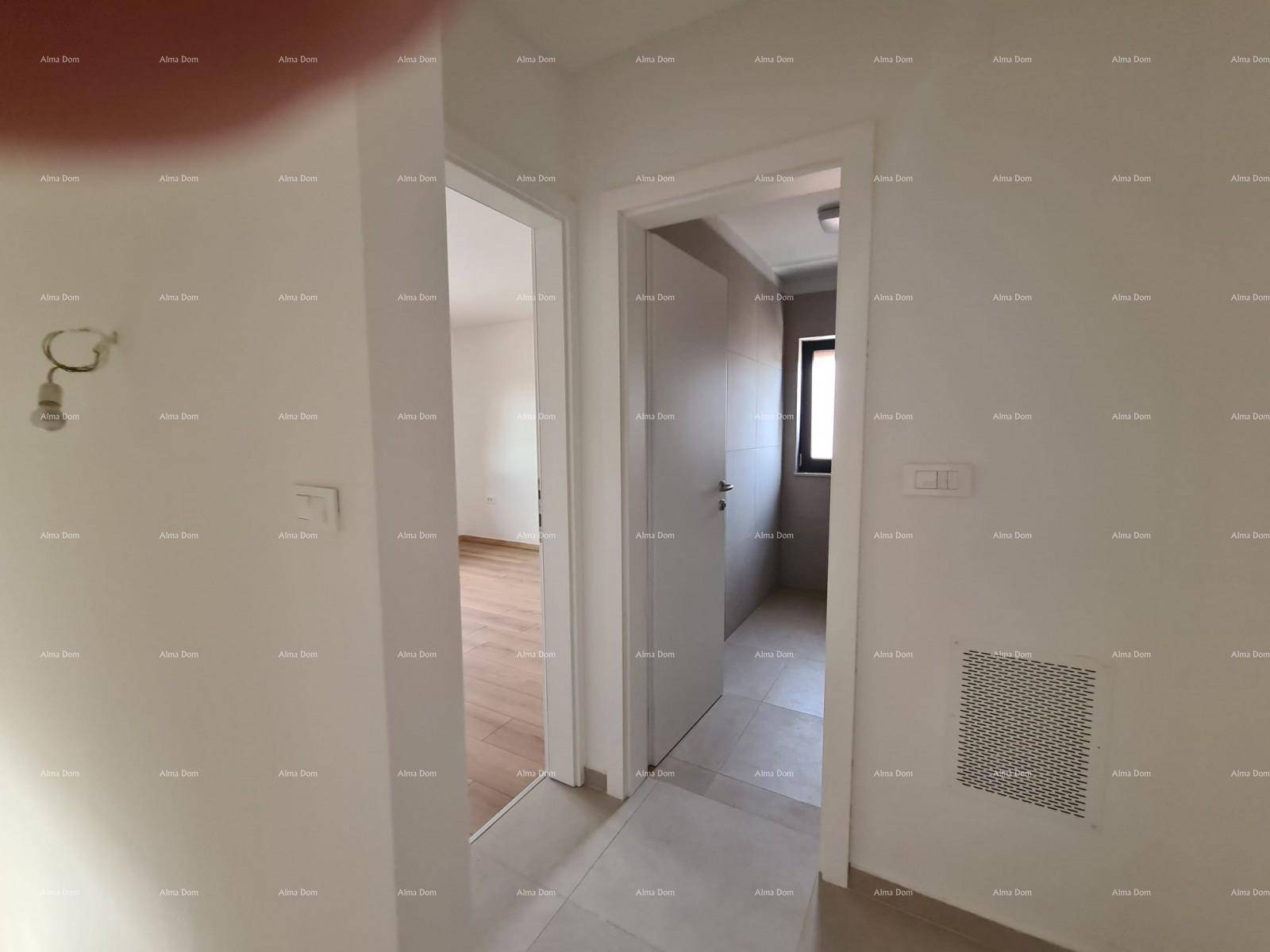 Heller Flur mit weißen Wänden und Zugang zu weiteren Zimmern und einem Badezimmer.