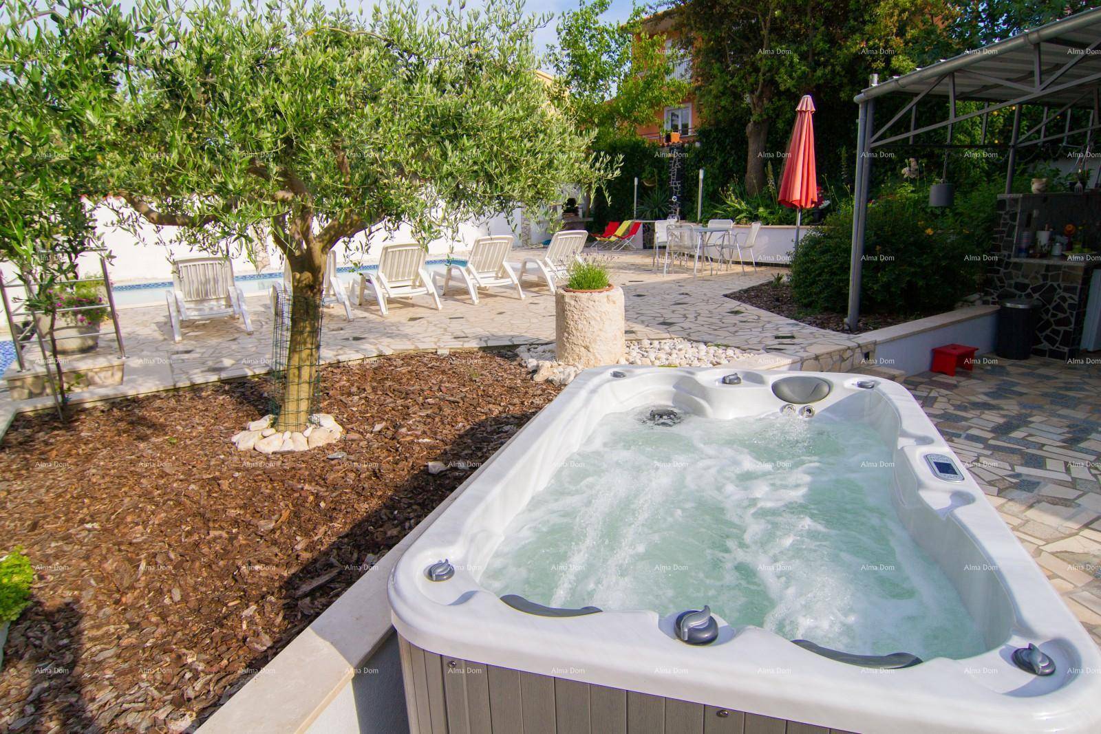 Whirlpool im Gartenbereich unter einem Olivenbaum, umgeben von Rindenmulch und Pflanzen.