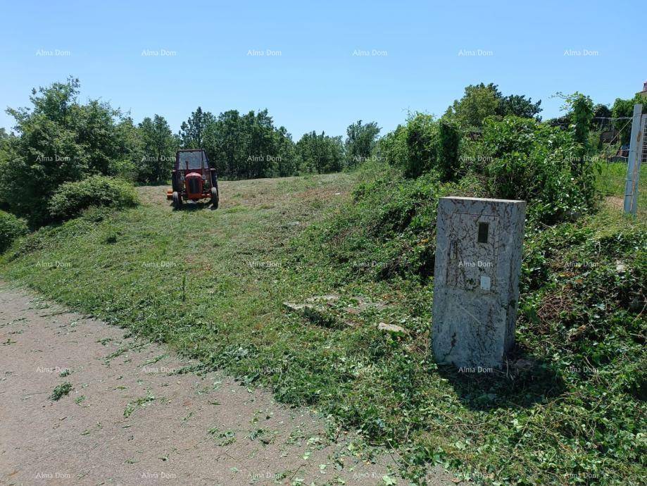 Weitläufiges Grundstück mit frisch gemähtem Gras und einem Traktor im Hintergrund unter blauem Himmel.