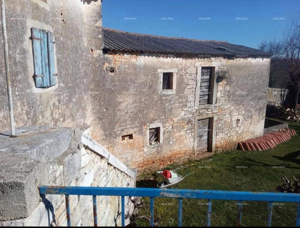 Detailansicht der rustikalen Steinfassade mit blauen Fensterläden und Holztüren.