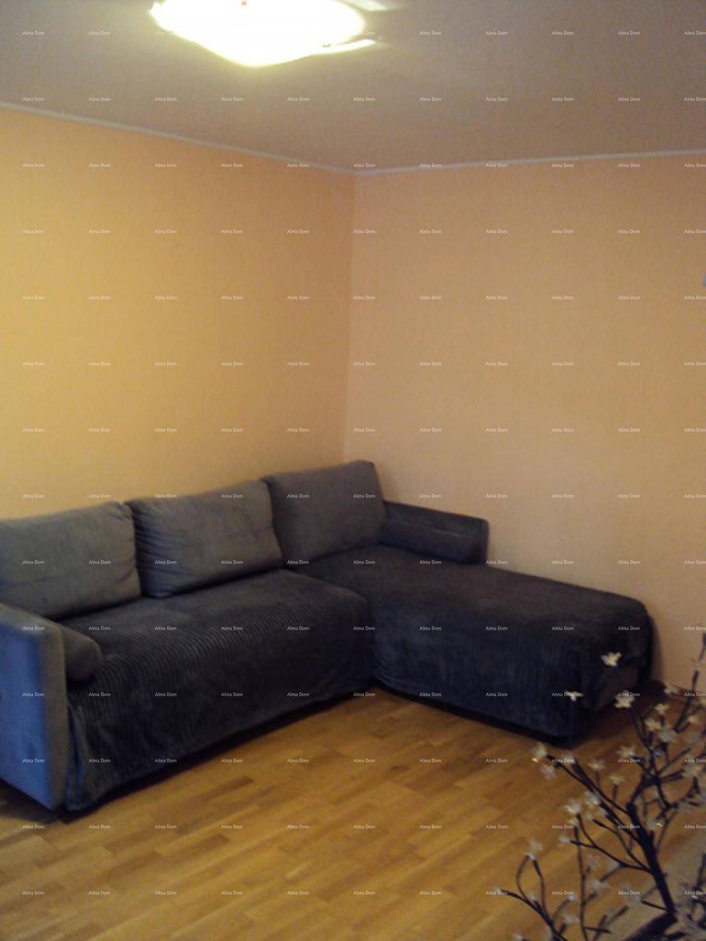 Geräumiges Wohnzimmer mit einem großen Ecksofa, hellen Wänden und Holzboden.