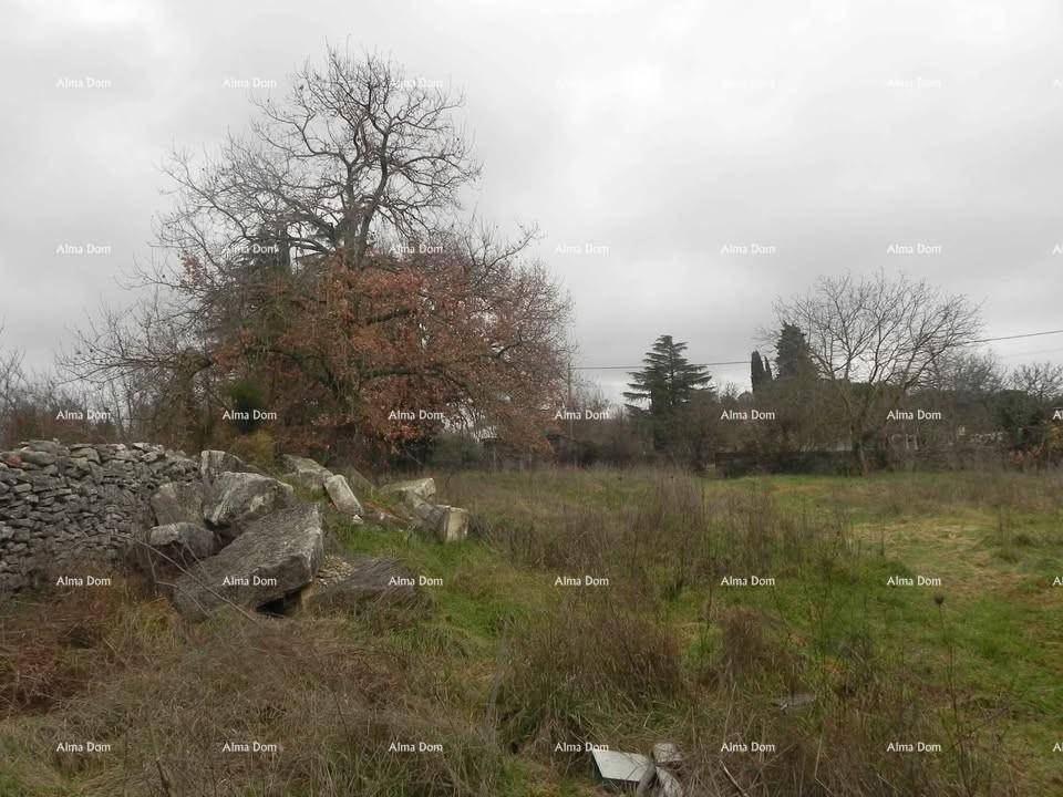 Offenes, unkultiviertes Grundstück mit großen Felsbrocken und vereinzelten Bäumen unter einem grauen, bewölkten Himmel.
