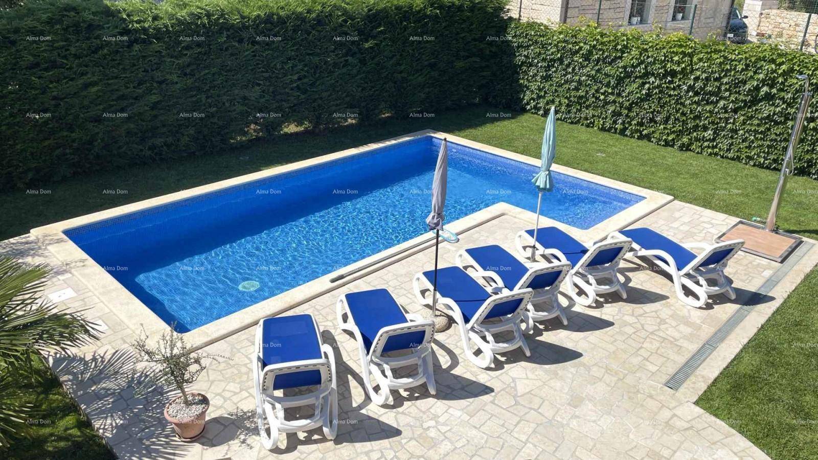 Blick von oben auf den rechteckigen Pool mit Liegestühlen und den umzäunten Gartenbereich.