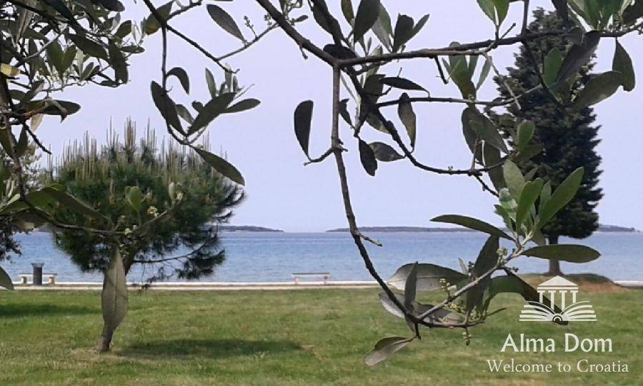 Blick auf das ruhige Meer durch die Blätter von Bäumen, mit Inseln am Horizont, malerisch und entspannend.