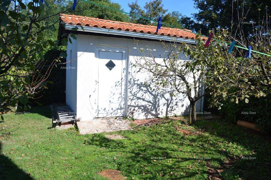 Weißes Gartenhaus mit Ziegeldach und kleiner Tür, umgeben von Obstbäumen auf einer grünen Wiese.
