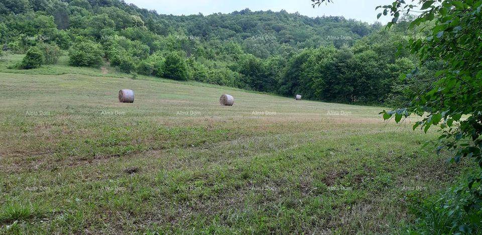Ausgedehntes grünes Feld mit mehreren Heuballen, das zu einem bewaldeten Hügel im Hintergrund führt.