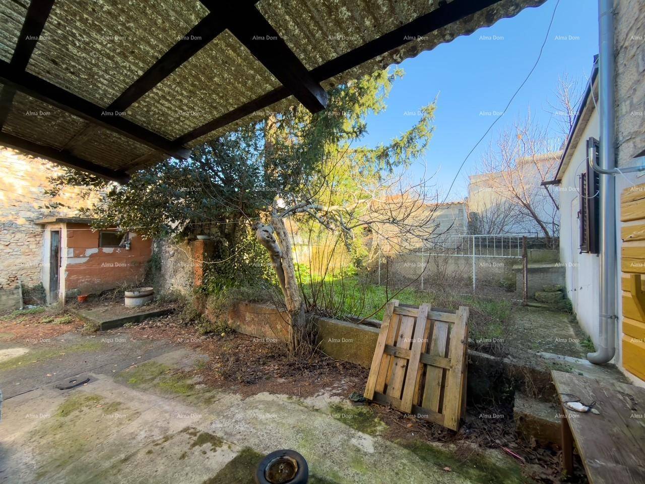 Hinterhof mit überdachtem Bereich, Baumbestand und viel Grün, ideal für Entspannung im Freien.