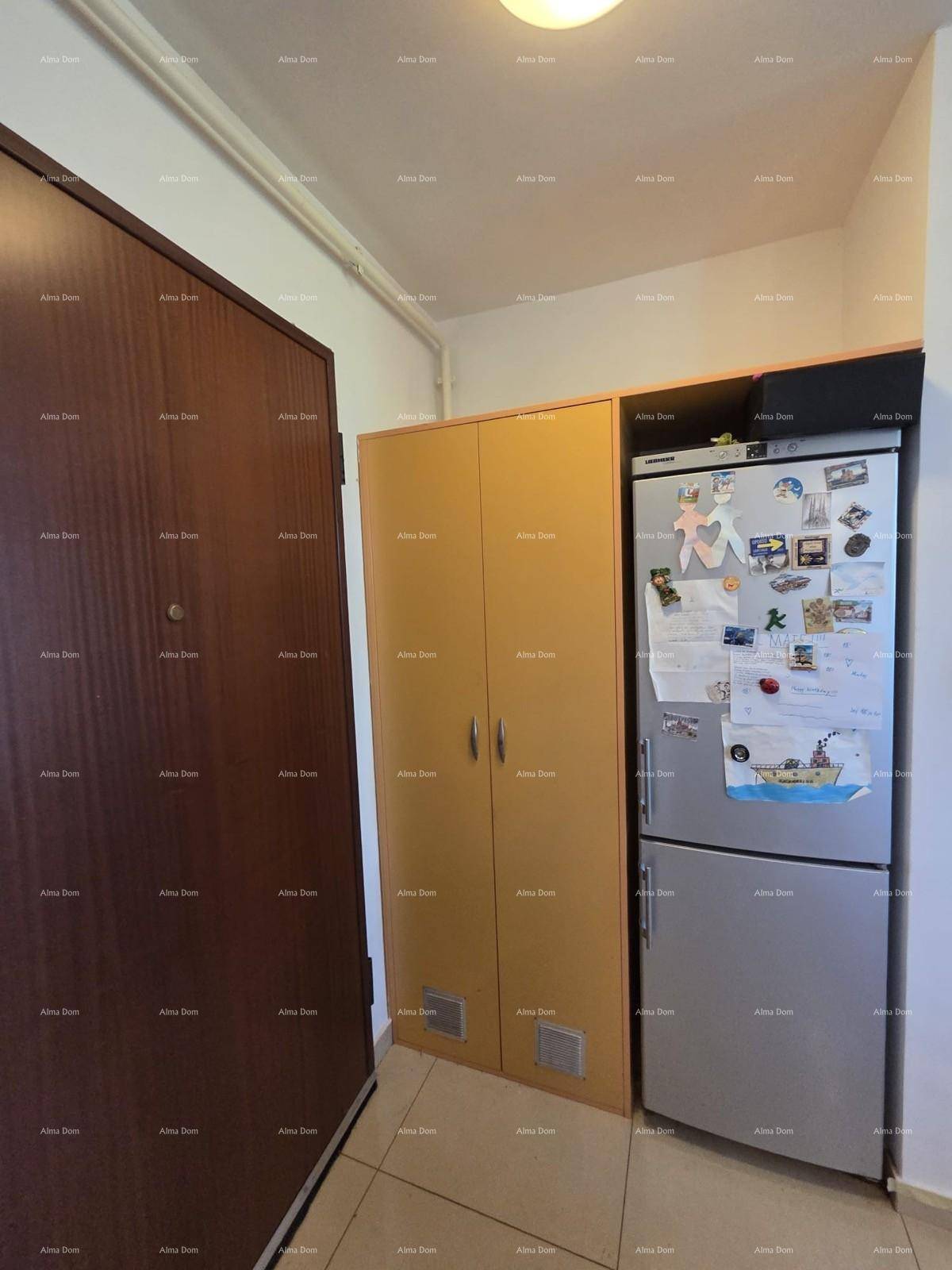 Flur mit Kühlschrank und einem Schrank neben der Eingangstür.