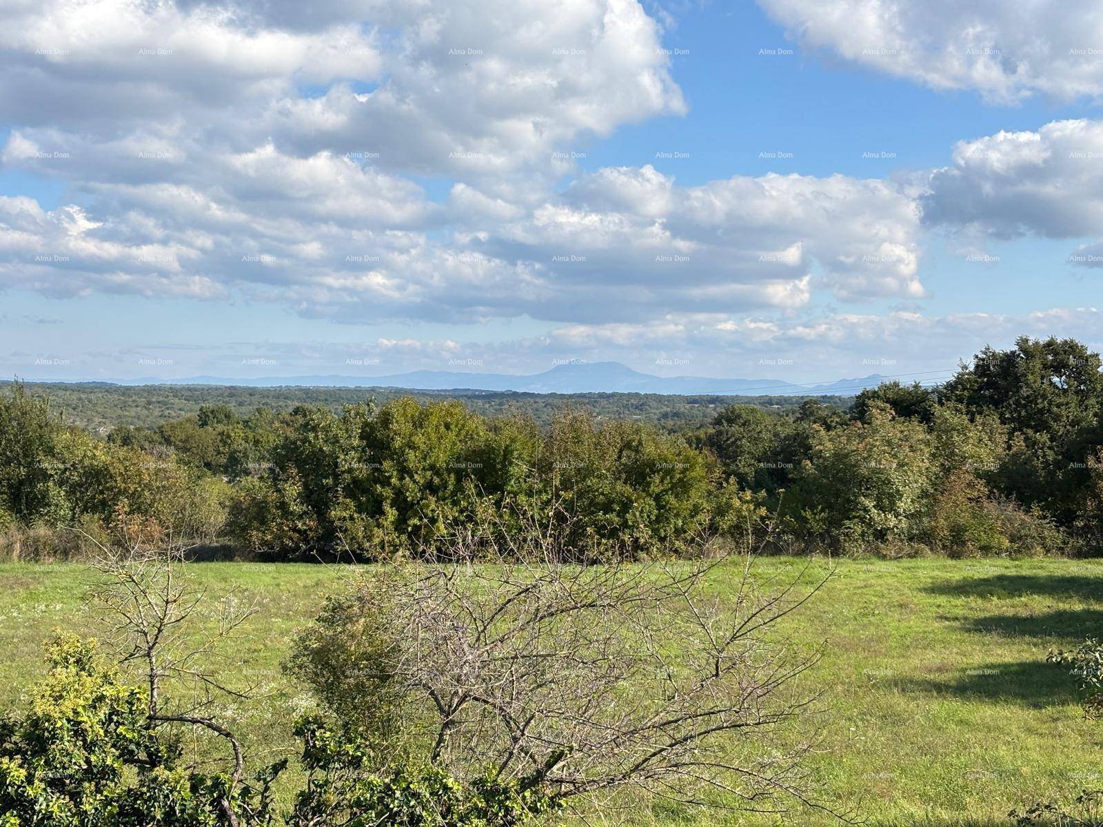 Panoramablick auf die weite grüne Landschaft mit Bergen am Horizont unter blauem Himmel.