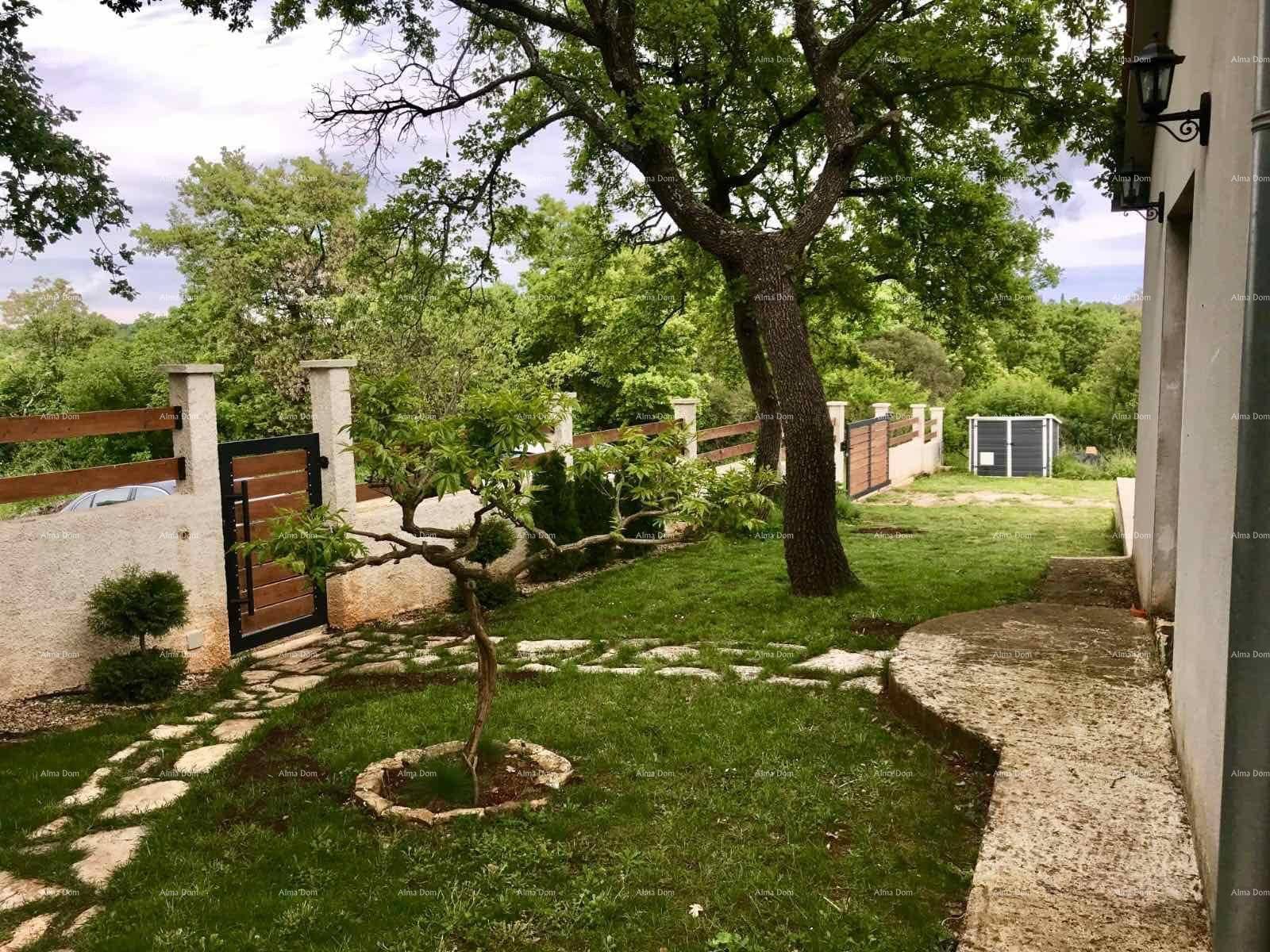 Gepflegter Garten mit Rasen, Bäumen und Steinpfad neben dem Haus.