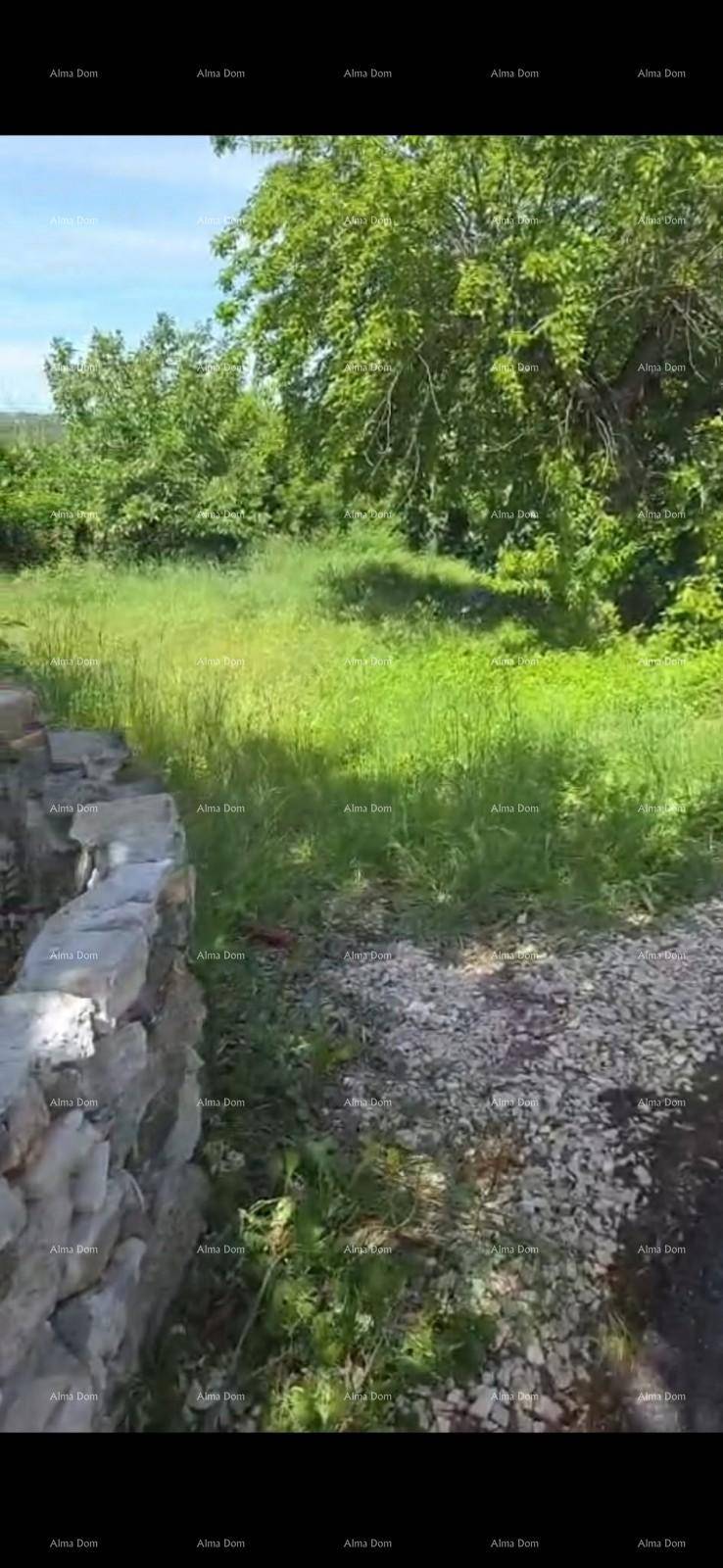 Steinmauer begrenzt einen Kiesweg, der zu einer grünen Wiese mit Bäumen im Hintergrund führt.