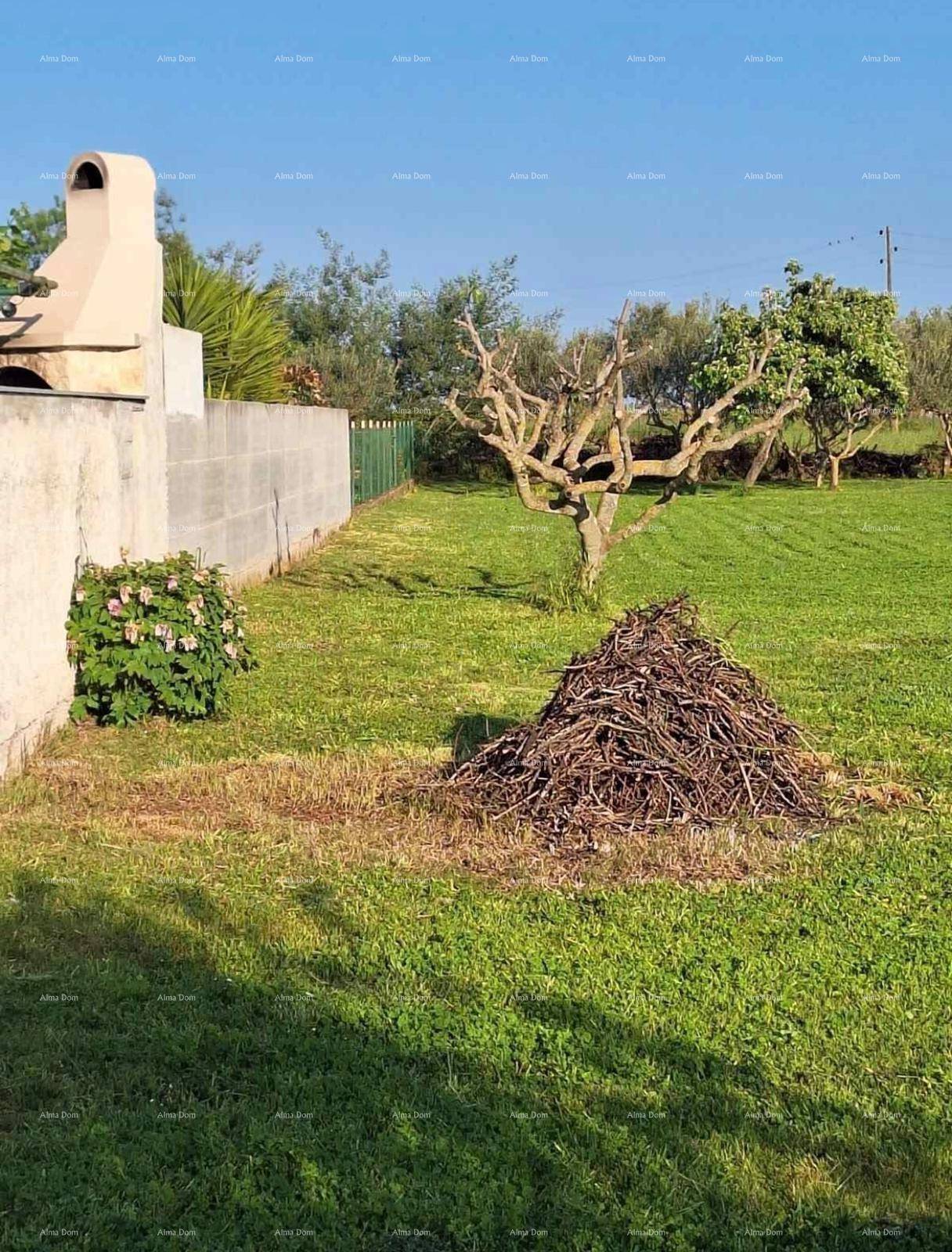 Weitläufiger Garten mit Rasenfläche, einem Grill und einem Haufen Äste unter klarem Himmel.
