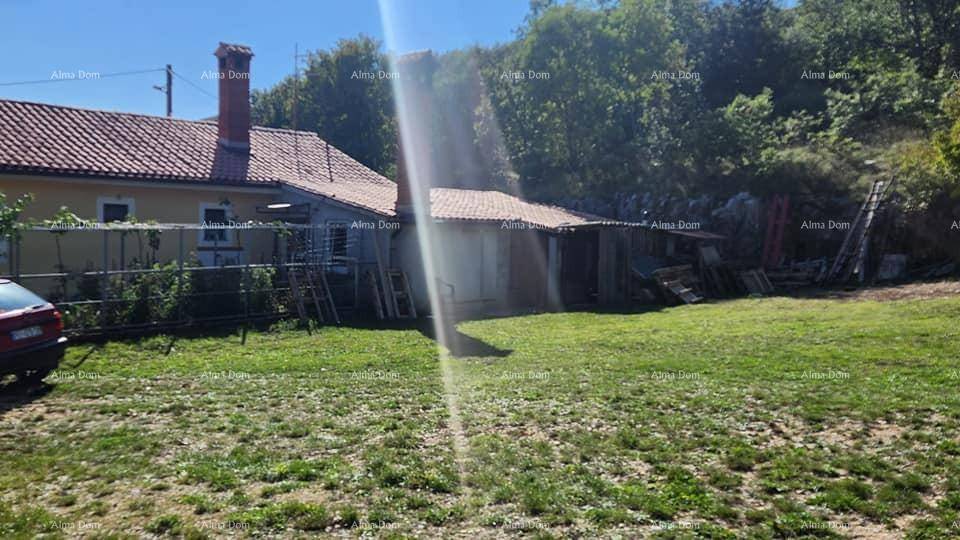 Rückseite des Hauses mit angrenzendem Schuppen und einer großen Rasenfläche im Sonnenschein.