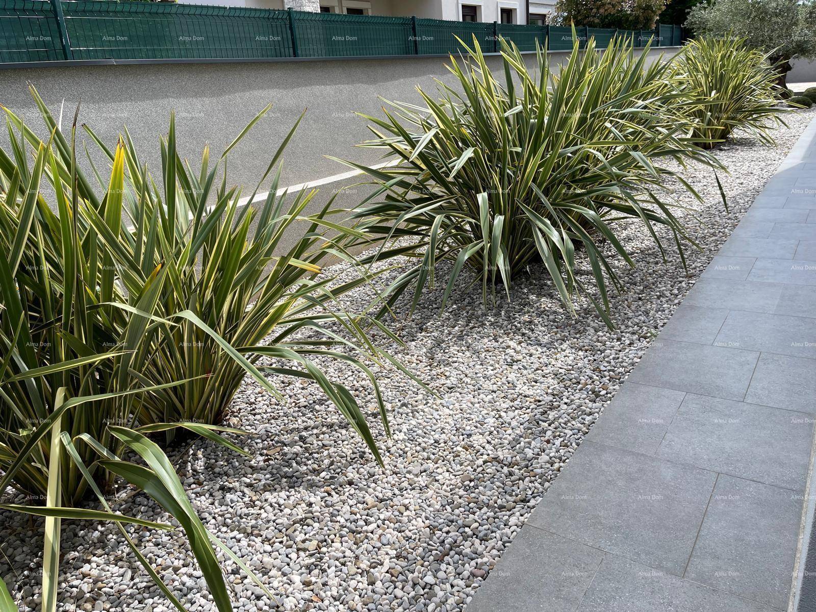 Gepflegte Gartenanlage mit Zierpflanzen und Kiesbeet entlang eines modernen Gehwegs.