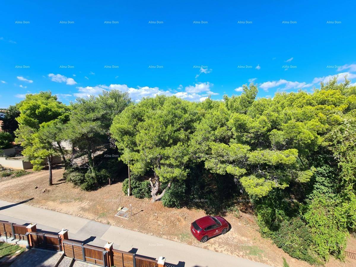 Panoramablick von oben auf eine grüne Waldlandschaft mit einem geparkten roten Auto.