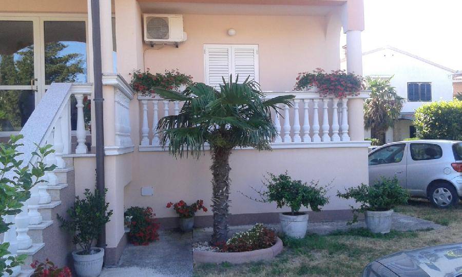 Außenansicht eines Gebäudes mit einem kleinen Vorgarten, Palmen und einer weißen Balustrade.