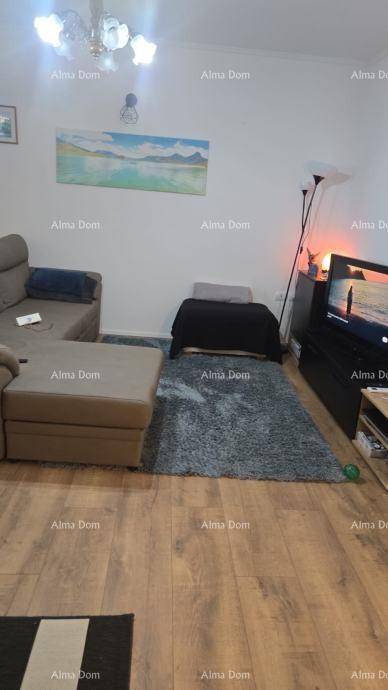 Gemütliches Wohnzimmer mit Sofa, Teppich, Fernseher und Holzboden für entspannte Abende.