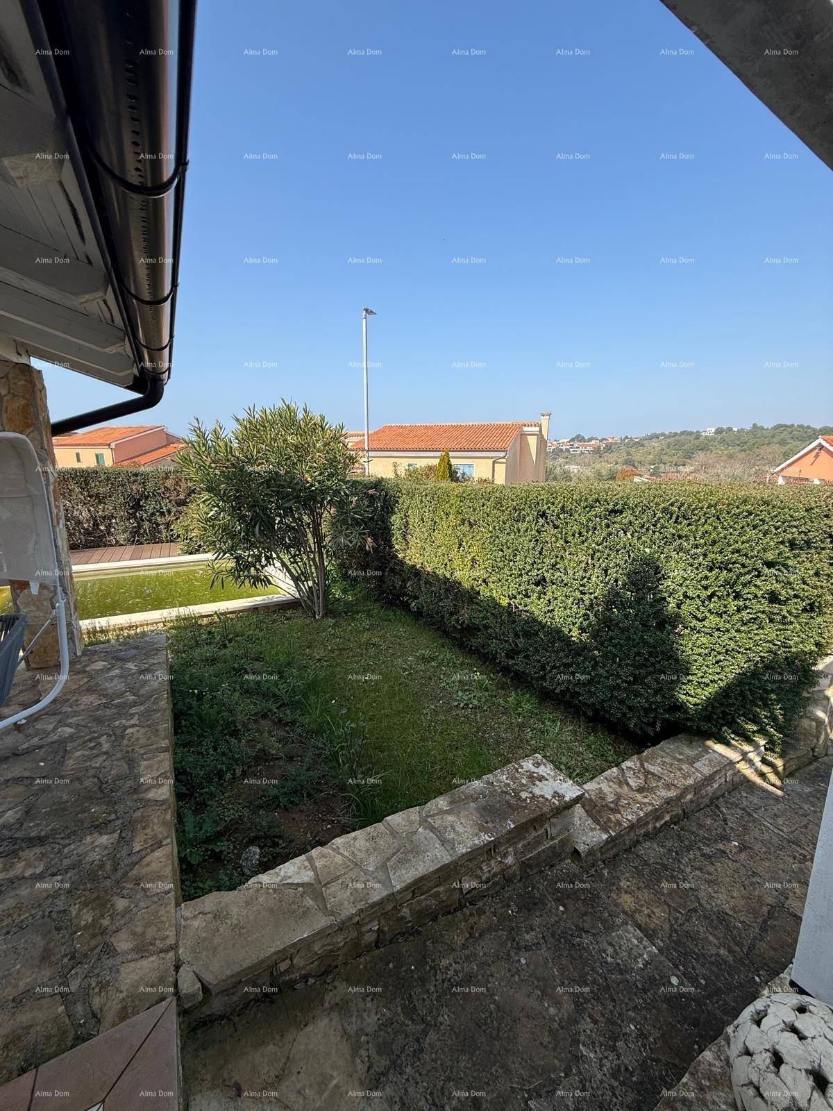 Gepflegter Gartenbereich mit Hecke und kleinem Teich unter blauem Himmel.