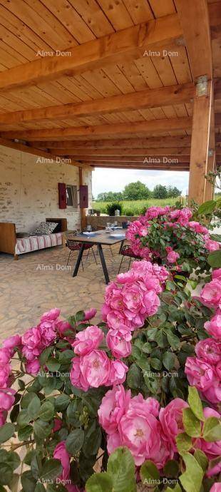 Blühende Rosen im Vordergrund einer überdachten Terrasse mit Essbereich und Holzbalken.