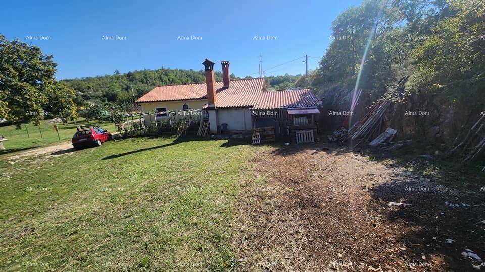 Rückseite des Hauses mit einem Bereich für Lagerung und einer großen Rasenfläche.