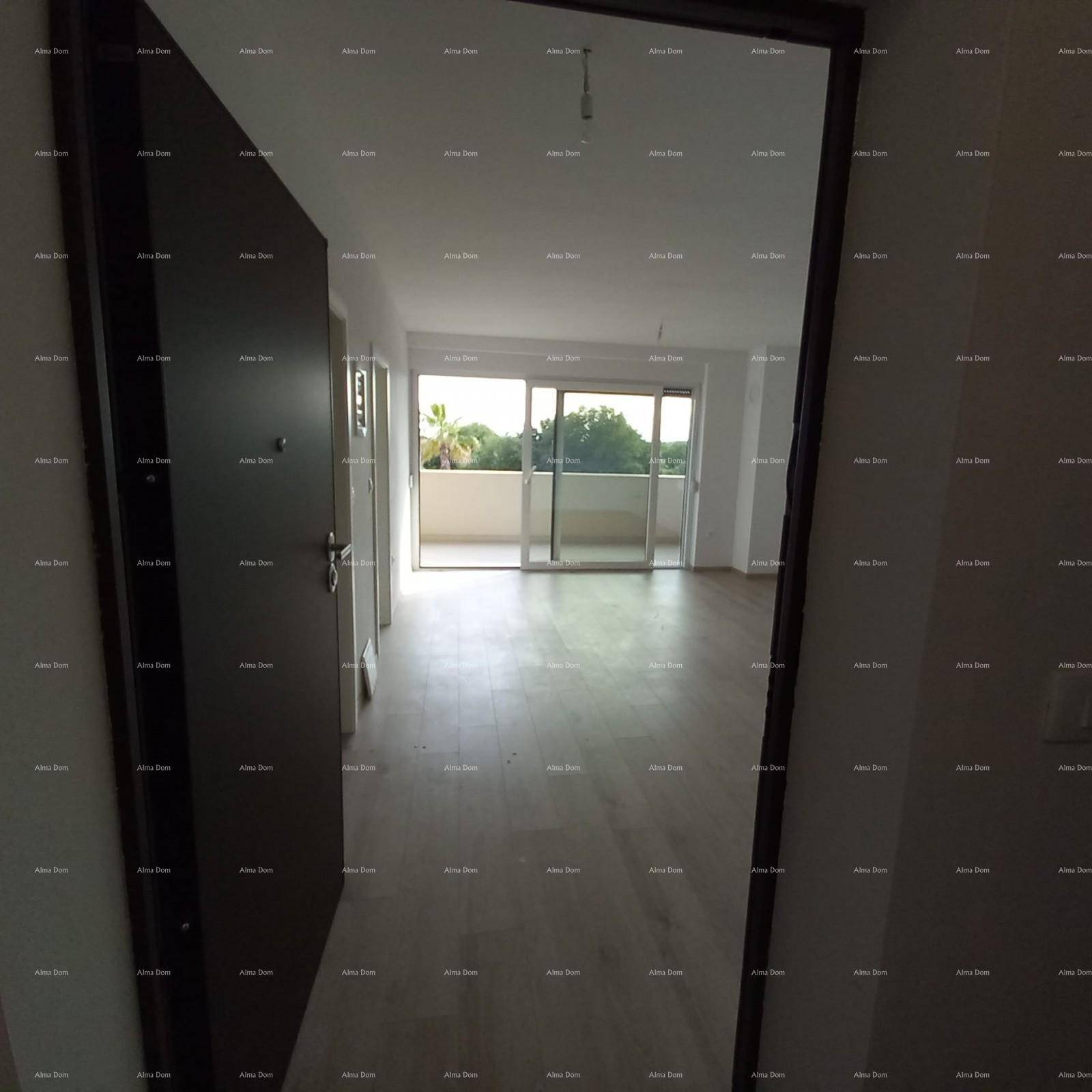 Slide 6