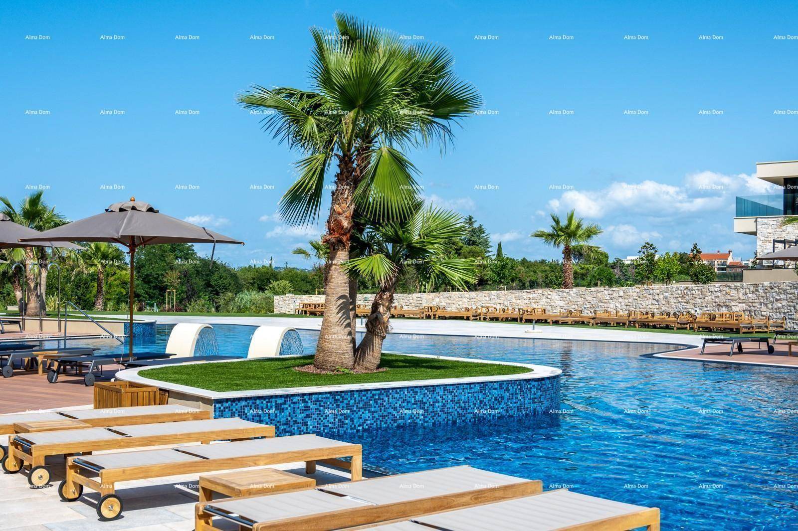Großer Außenpoolbereich mit Palmen, Liegestühlen und dekorativen Mosaikfliesen im Wasser.