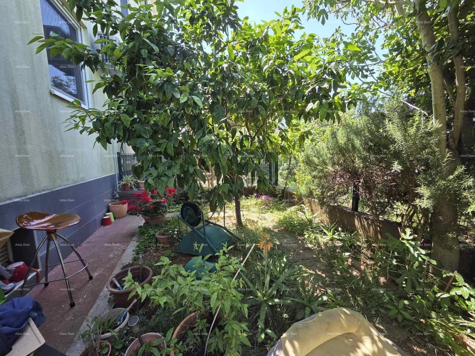 Gartenbereich mit verschiedenen Pflanzen, Topfblumen und einem kleinen Baum.