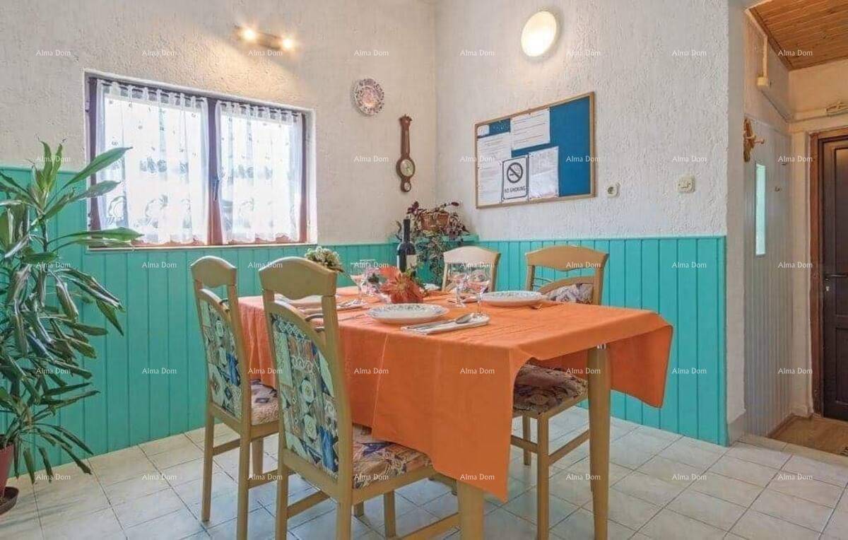 Heller Essbereich mit Holztisch, bunten Stühlen und türkisfarbenen Wandpaneelen, mit Fenster.