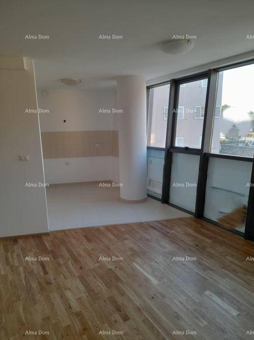 Offener Wohnbereich mit Holzboden und angrenzendem Küchenbereich, viel Tageslicht durch große Fenster.