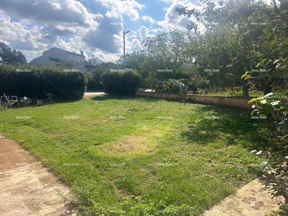 Grüner Gartenbereich mit Rasenfläche und Bäumen unter einem bewölkten Himmel.