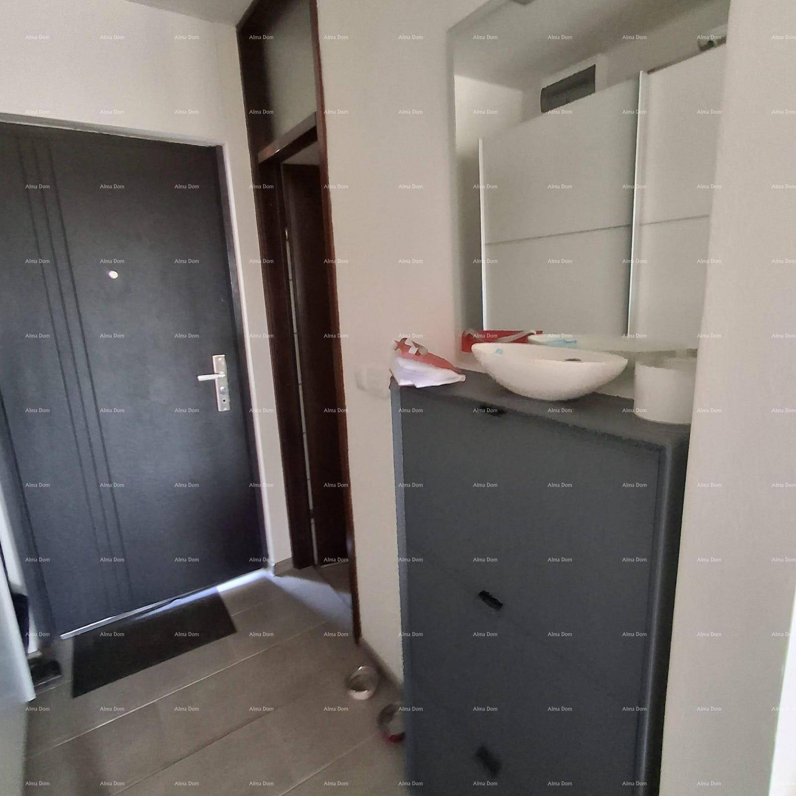 Heller Flur mit dunkler Eingangstür und praktischer Schuhkommode.