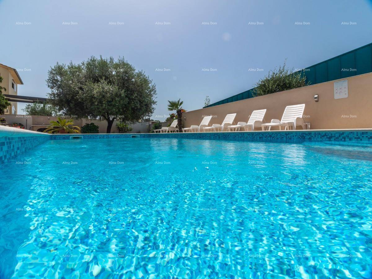 Großer, sauberer Swimmingpool im Freien, umgeben von Liegestühlen und mediterraner Vegetation.