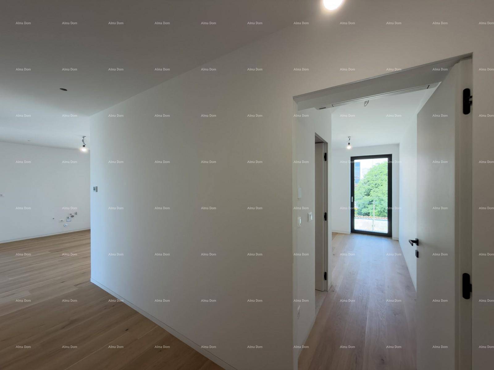 Offener Wohnbereich mit Holzboden und hellen Wänden, führt zu einem weiteren Zimmer mit Fenster.
