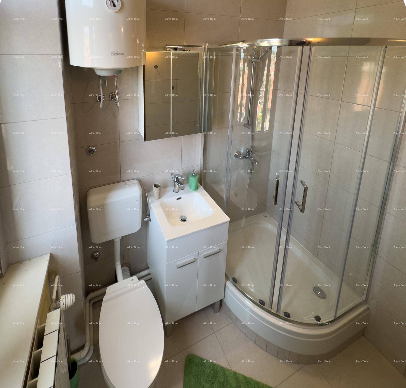 Kleines Badezimmer mit Duschkabine, WC und Waschbecken mit Spiegelschrank, gefliest.