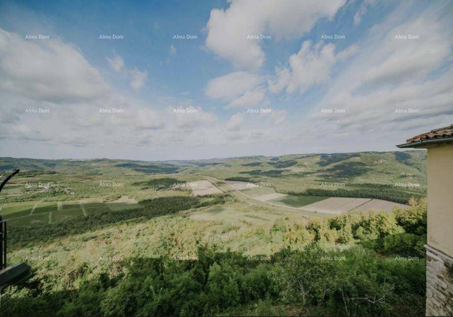 Weitläufiger Blick über eine grüne Hügellandschaft mit Feldern unter einem weiten Himmel.