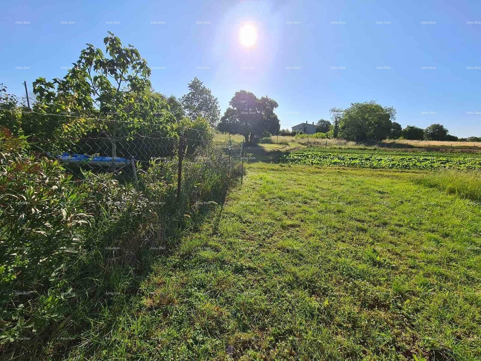 Gartenbereich mit Blick auf die umliegende ländliche Landschaft und weite Felder in der Ferne.