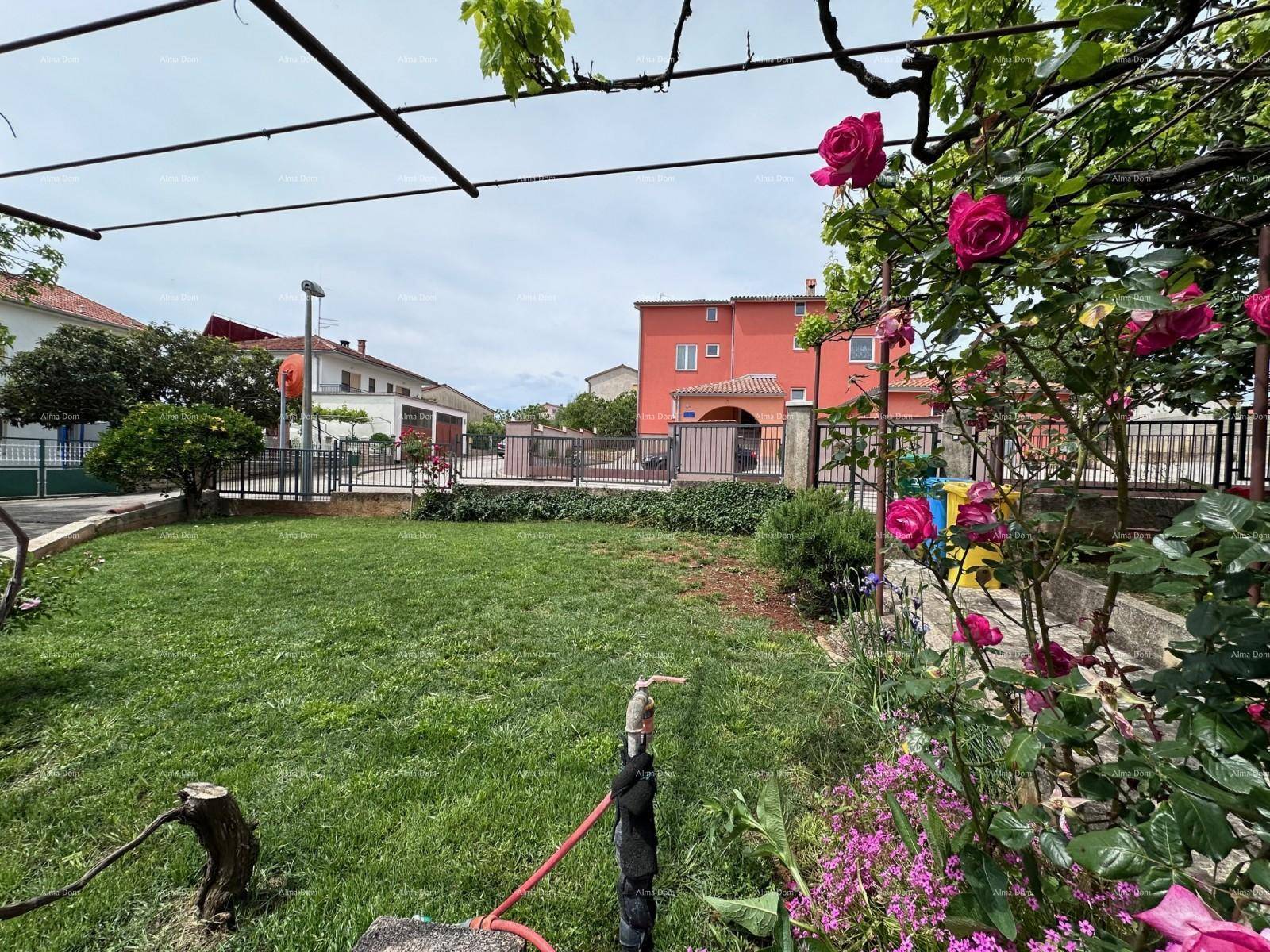 Gepflegter Garten mit Rasenfläche, blühenden Rosen und Blick auf die umliegenden Häuser.