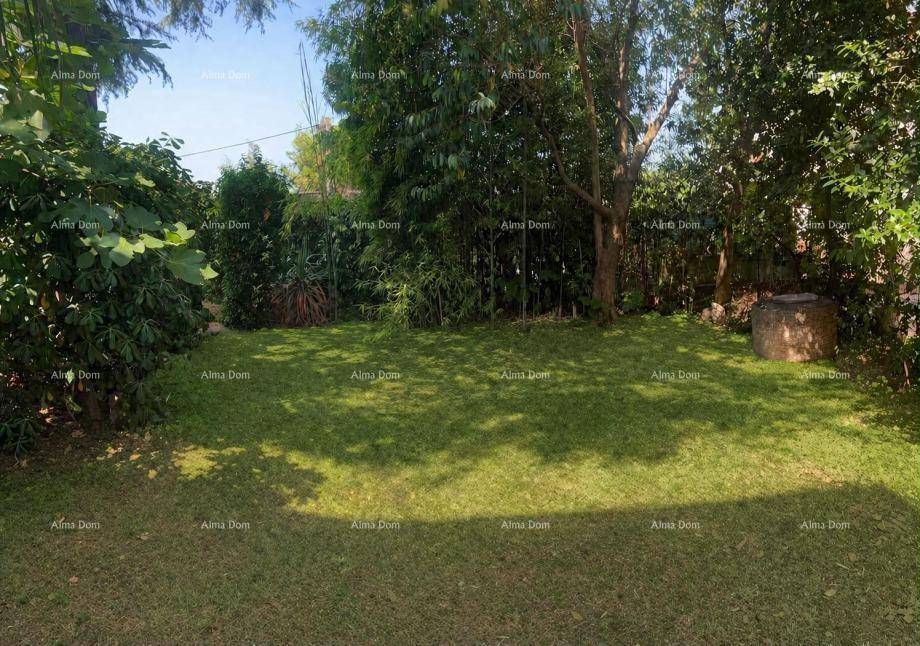 Gepflegter grüner Garten mit Rasenfläche, Bäumen und einem dekorativen Steinbrunnen.
