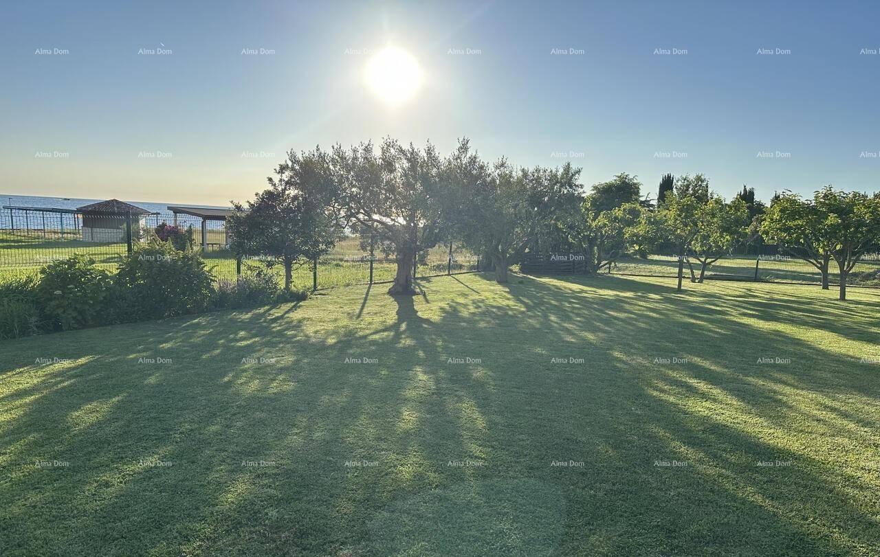 Weitläufiger Garten mit üppigem Rasen, schattenspendenden Bäumen und Blick auf das glitzernde Meer bei Sonnenlicht.