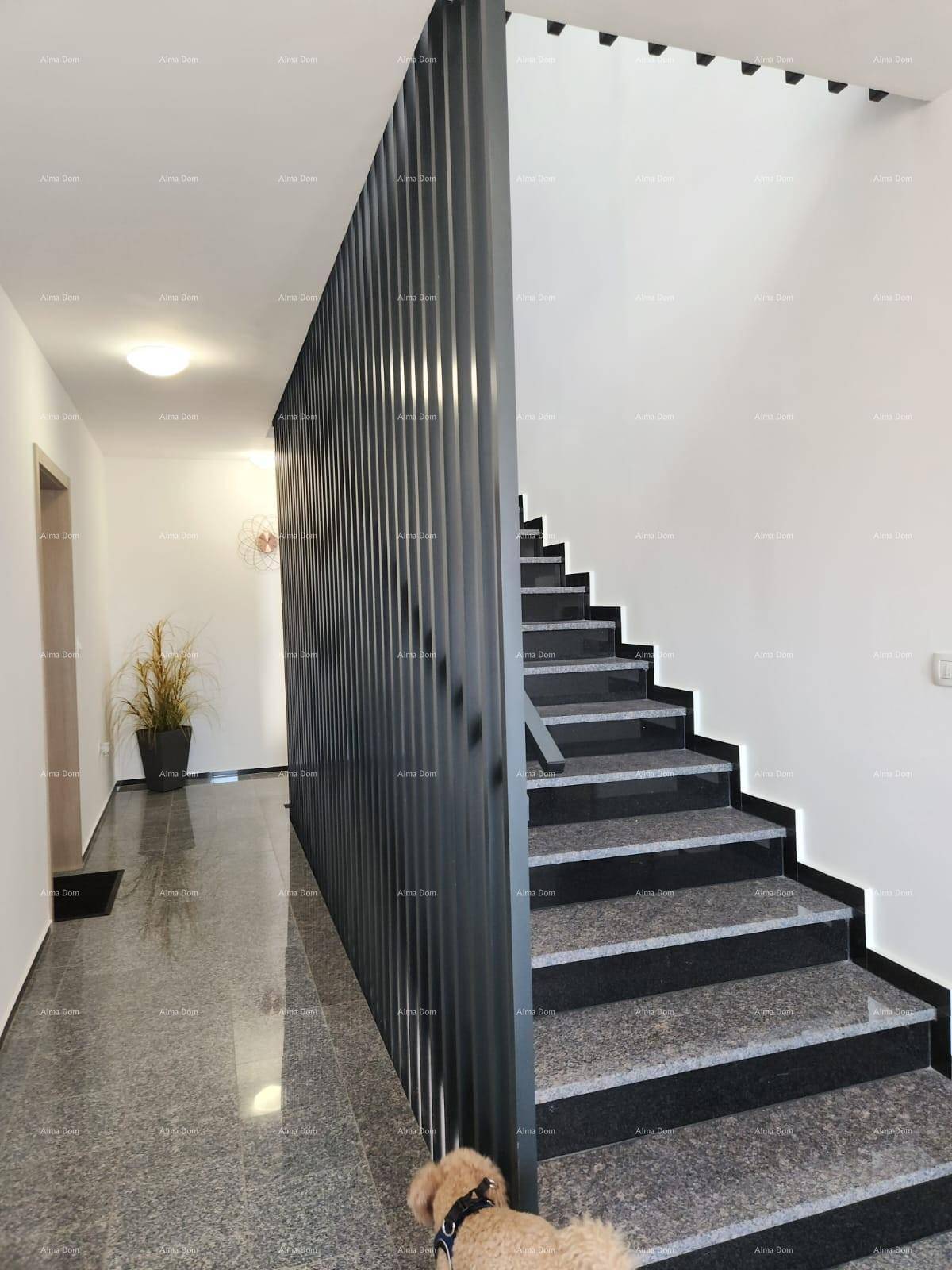 Moderner Eingangsbereich mit Granitboden und Treppe mit elegantem Metallgeländer.