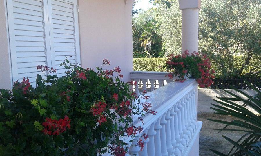 Eine charmante Terrasse mit weißer Balustrade, roten Blumen und grünen Bäumen im Hintergrund.