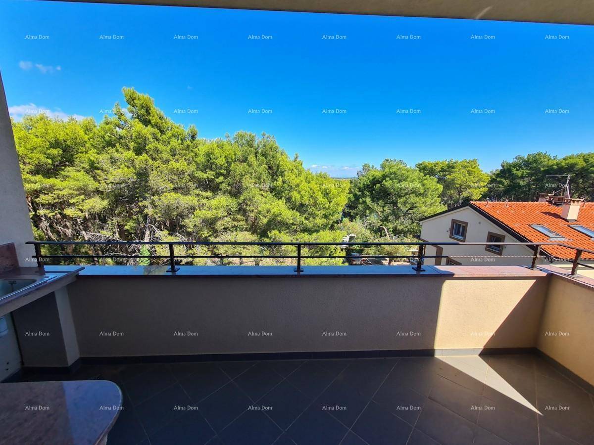 Geräumiger Balkon mit Fliesenboden und weitem Blick ins Grüne.