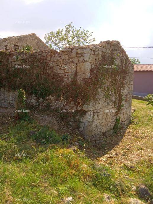 Verfallenes Steinhaus mit überwucherten Mauern und Vegetation in ländlicher Umgebung.