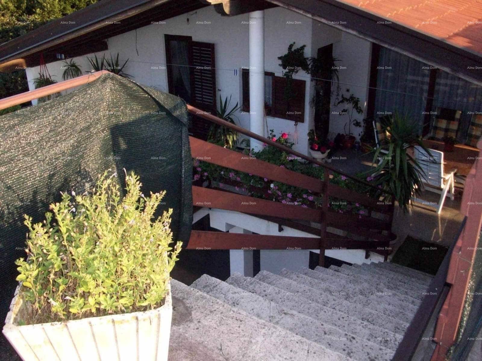 Außentreppe, die zu einem oberen Bereich des Hauses führt, umgeben von Pflanzen.