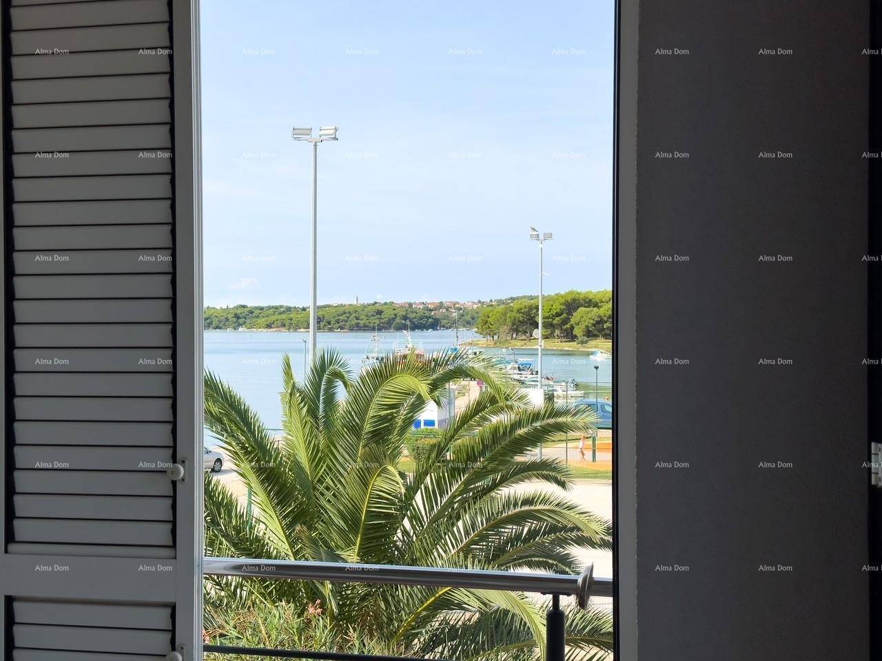 Meerblick durch die Balkontür mit sichtbarer Palme und dem Hafen im Hintergrund.