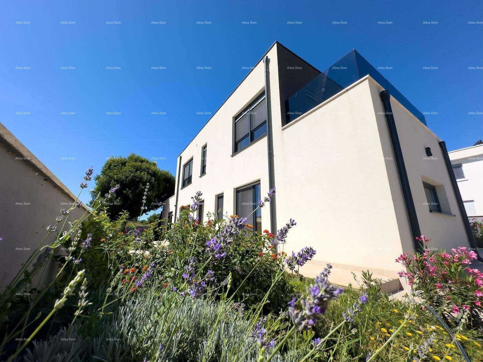 Moderne Villa umgeben von blühenden Lavendel- und anderen mediterranen Pflanzen im Garten.