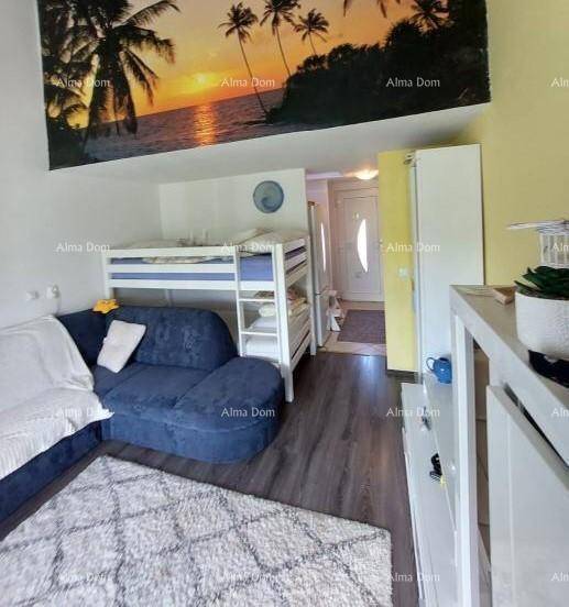 Wohnbereich mit Etagenbett, Sofa und dekorativem Wandbild, führt zum Eingangsbereich und zur Küchenzeile.