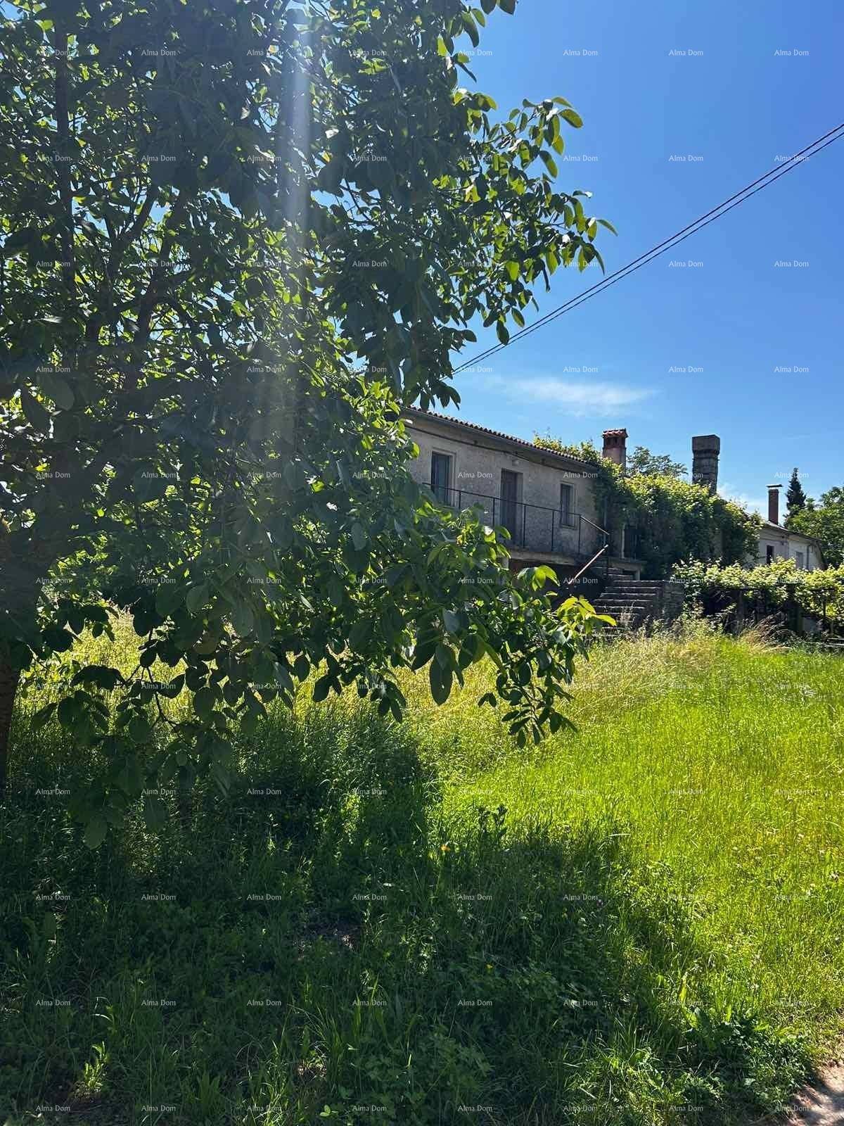 Blick auf das alte Haus durch Bäume und hohes Gras, mit mehreren Schornsteinen sichtbar.
