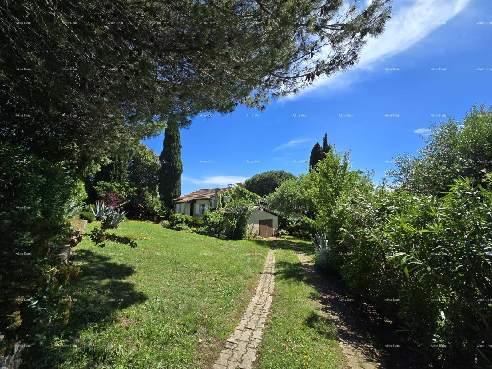 Langer Gartenweg führt durch üppiges Grün zum Haus, umgeben von hohen Bäumen.