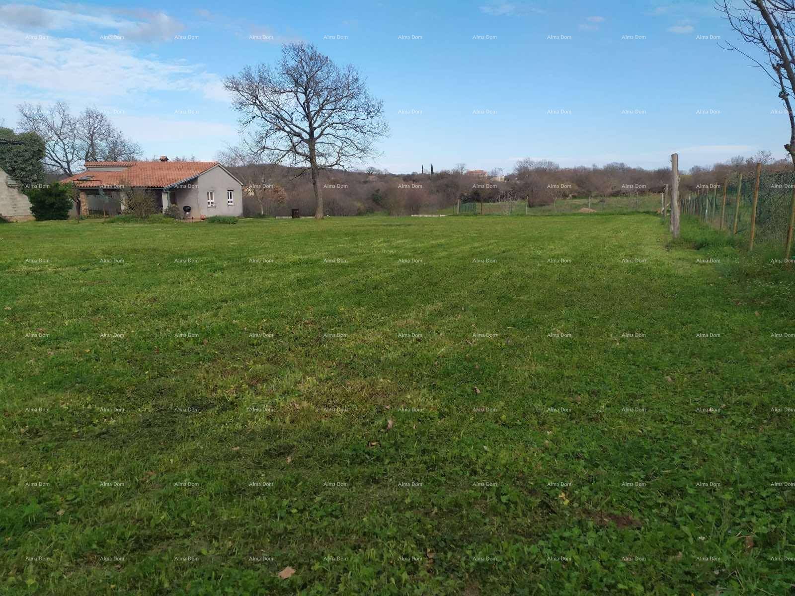 Weitläufige grüne Wiese mit einem Haus im Hintergrund unter blauem Himmel.